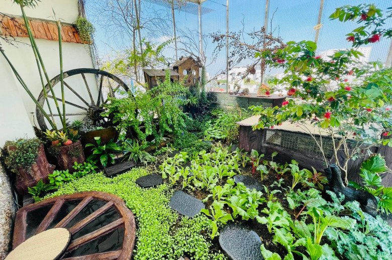 Vườn sân thượng đẳng cấp của cô giáo Tân Phú: Đổ đất cao 1 tấc, đẹp như vườn cổ tích - 3