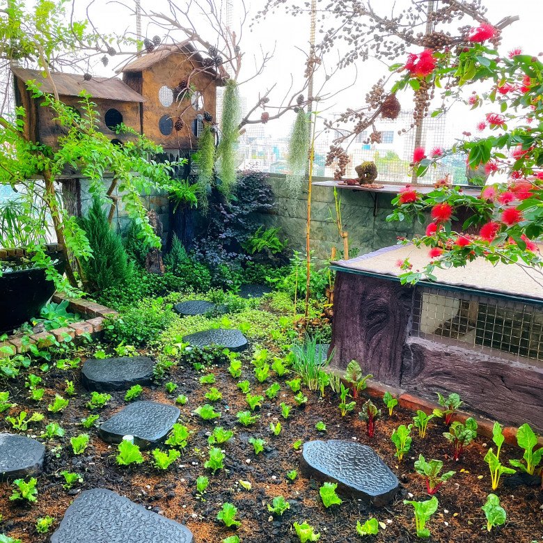 Vườn sân thượng đẳng cấp của cô giáo Tân Phú: Đổ đất cao 1 tấc, đẹp như vườn cổ tích - 13
