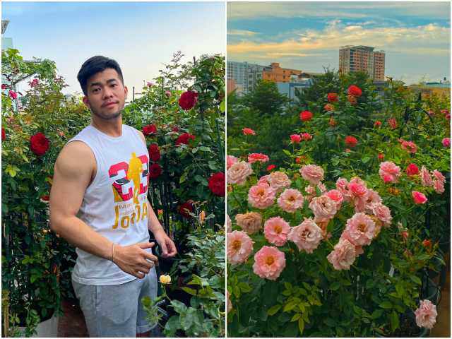 Trai đẹp Sài Gòn trồng hồng ngoại trên sân thượng, được khu vườn ngát hương, hoa cắm không xuể