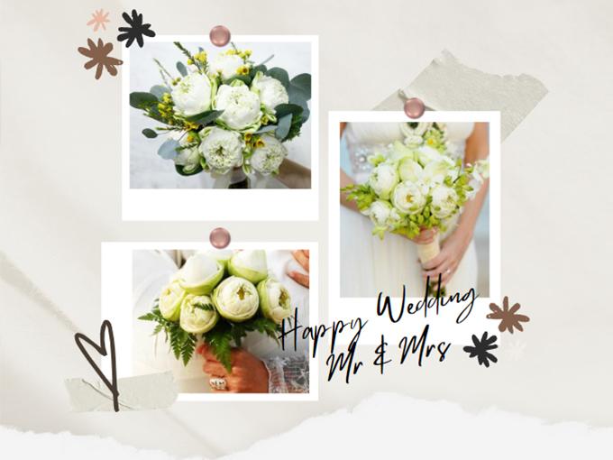 Hoa sen trắng: ý nghĩa, công dụng và cách trồng ra hoa thơm ngát - 11