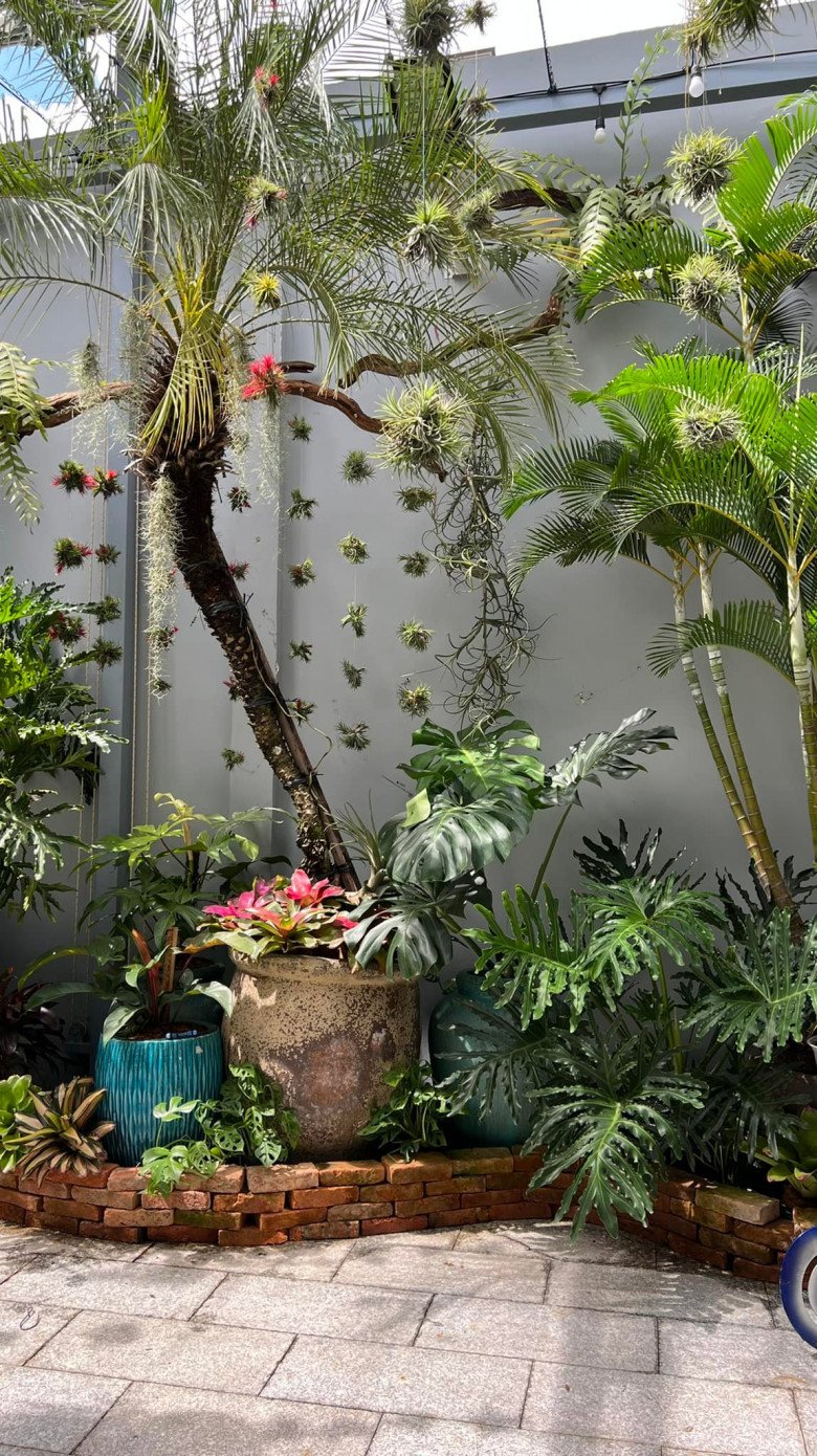 Mẹ đảm làm vườn nhiệt đới ở Cần Thơ: Rộng 100m2, đẹp mãn nhãn như ở Nam Mỹ - 7