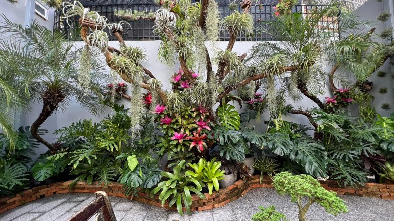 Mẹ đảm làm vườn nhiệt đới ở Cần Thơ: Rộng 100m2, đẹp mãn nhãn như ở Nam Mỹ - 4