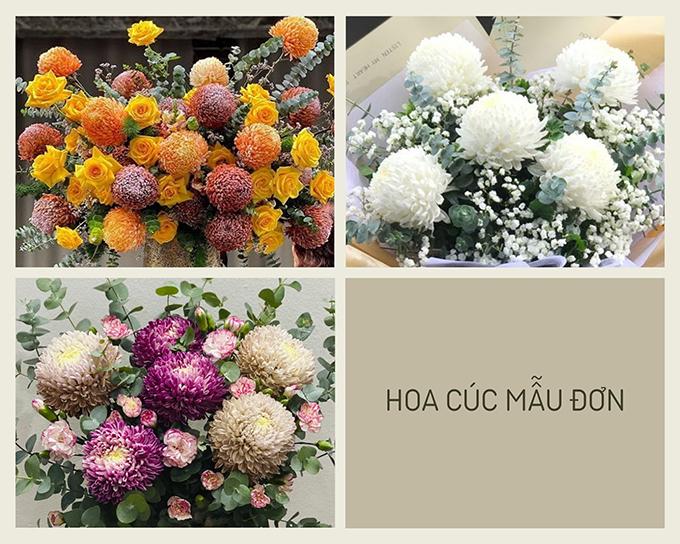 Hoa cúc - Phân loại, ý nghĩa, công dụng và cách trồng giúp hoa nở đẹp - 11